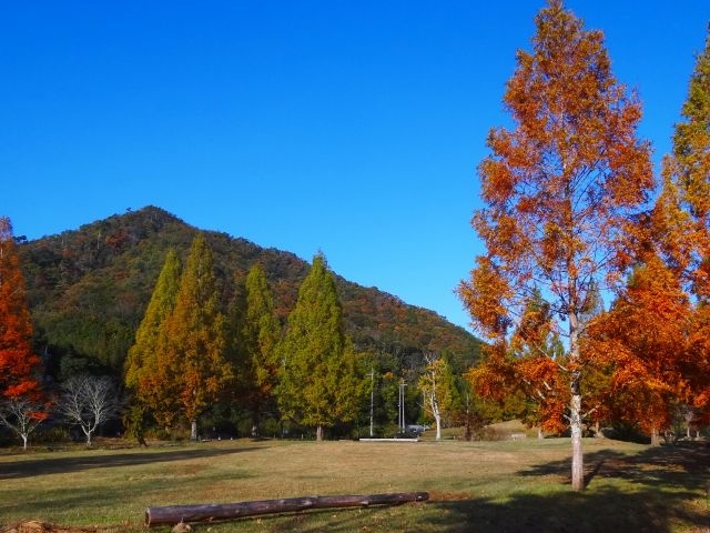 �H���R�ƃ��^�Z�R�C��_�_�ˎO�c�A�E�g�h�A�r���b�WTEMIL