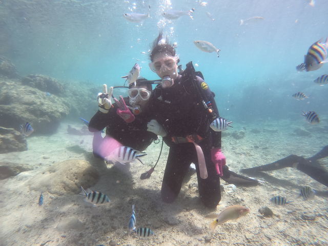 ̓AȂĂōłB
肪Ƃ܂I_OkinawaDiving Suns