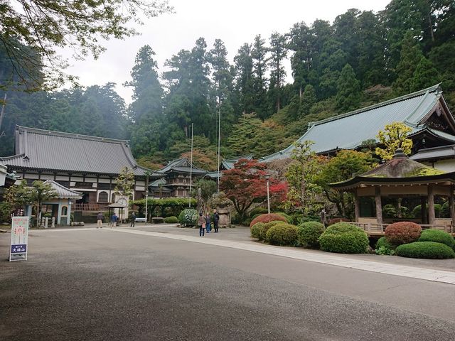 大雄山最乗寺（道了尊）】アクセス・営業時間・料金情報 - じゃらんnet