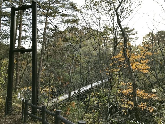 �݂苴_�O���ΔȒT���H