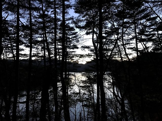 �؁X�̃V���G�b�g���Y��ł�_�O���ΔȒT���H