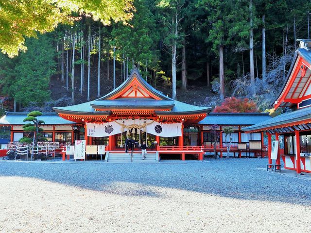 金桜神社】アクセス・営業時間・料金情報 - じゃらんnet