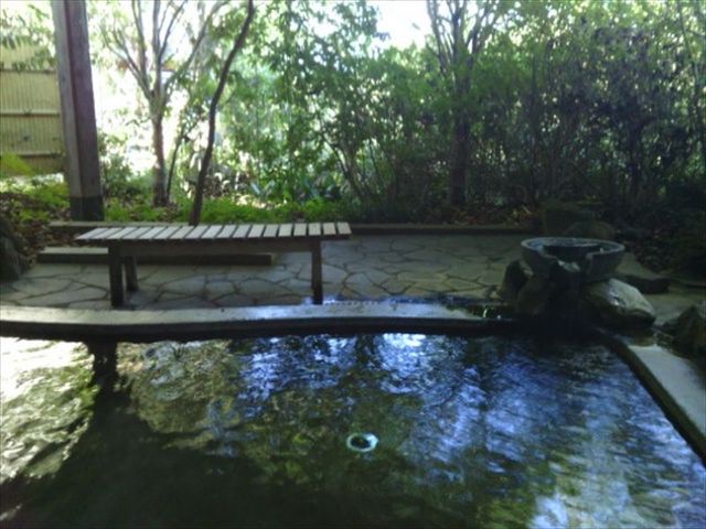 �����i�A���J�����P����j�̘I�V_�{������