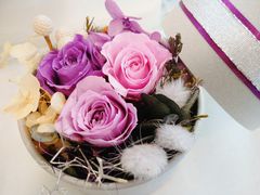 [N-style Flower License School.ւ̓eʐ^1