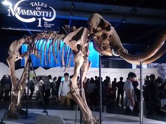 sana̓{Ȋwقւ̓eʐ^1