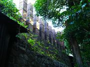 ˂񂳂̓oqihqj̓eʐ^2