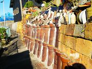 ˂񂳂̓oqihqj̓eʐ^3