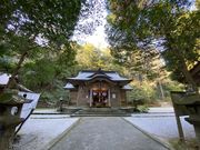 bikitaro����̓��_�Ђ̓��e�ʐ^1