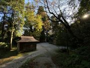 bikitaro����̓��_�Ђ̓��e�ʐ^2