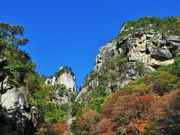 񂳂̏勬̍gt̓eʐ^2