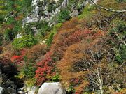 񂳂̏勬̍gt̓eʐ^3