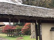 񂳂̔d{X@쑍{X̓eʐ^1