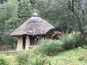 񂳂̔d{X@쑍{X̓eʐ^3