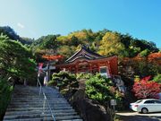 񂳂̕vwؐ_Ђ̓eʐ^2