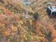 シトラさんの谷川岳ロープウェイの投稿写真1