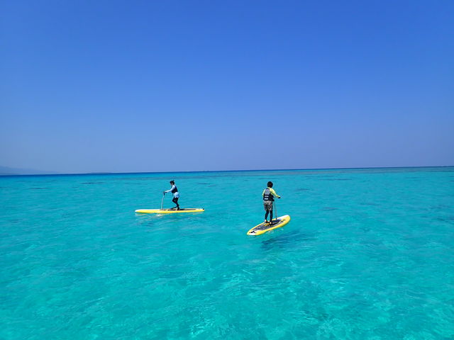 ��̐F���C�̋P�����ꐶ�Y����Ȃ��v���o�ɂȂ�܂����I_MASTER CRUISE