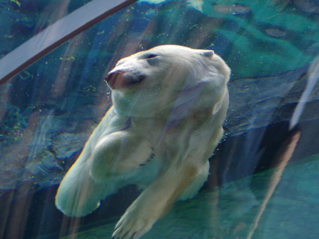 �~�R������