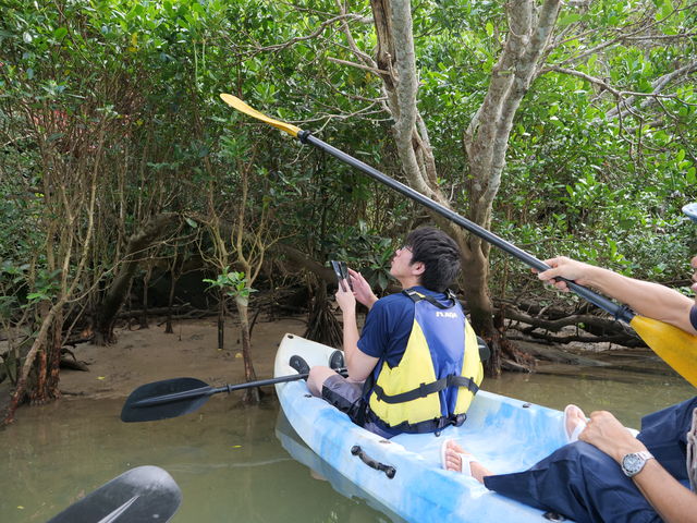 �}���O���[�u�̐��Ԃ��K�C�h����ɉ�����Ă��炢�܂����B_�E�F�[�u�@�}�����@�N���u