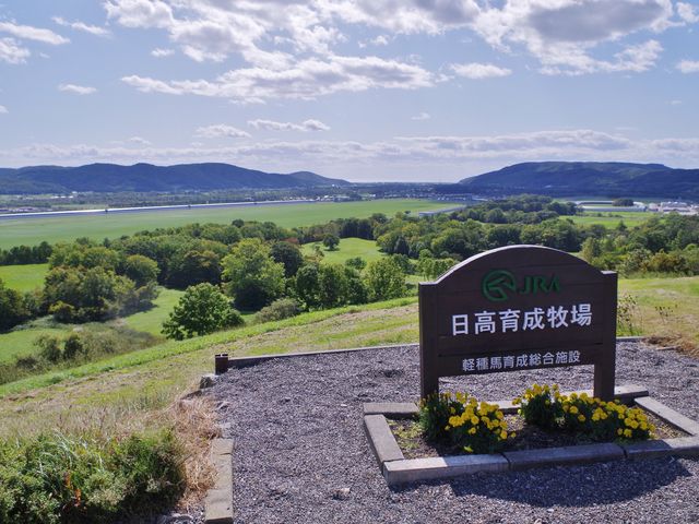 JRA�����琬�q��