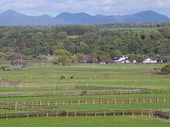 �܂������̐V���T���u���b�h����ւ̓��e�ʐ^1