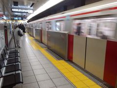 �Ђ낳��̓������g���ۂ̓��� ����c�����O�w�ւ̓��e�ʐ^1