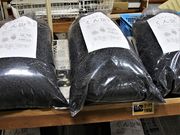 Ƃ񂳂̐F򍒍؃Z^[̓eʐ^4