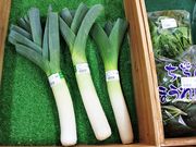 Ƃ񂳂̂ӂ闢Z^[xEx̓eʐ^5