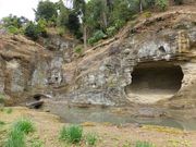 jR񂳂̐򎛒뉀̓eʐ^1