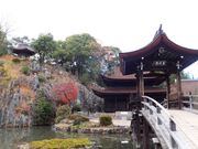 ڂ炳̉iێ뉀̓eʐ^1