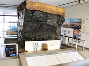 Ƃ񂳂̑sO{؈YLOق̓eʐ^3