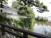 Ƃ-񂳂̓csق̓eʐ^2