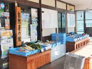 Ƃ񂳂̓̉w@Hc͂Ȃ܂̓eʐ^6