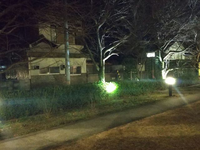 ��ɂȂ�ƒ�ɂ̓��C�g������܂�_�V�R�̓��@�Ȃ���������