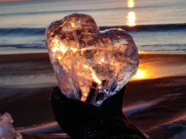 �n�[�g�̃W���G���[�A�C�X_�T�����C�v���f���[�X