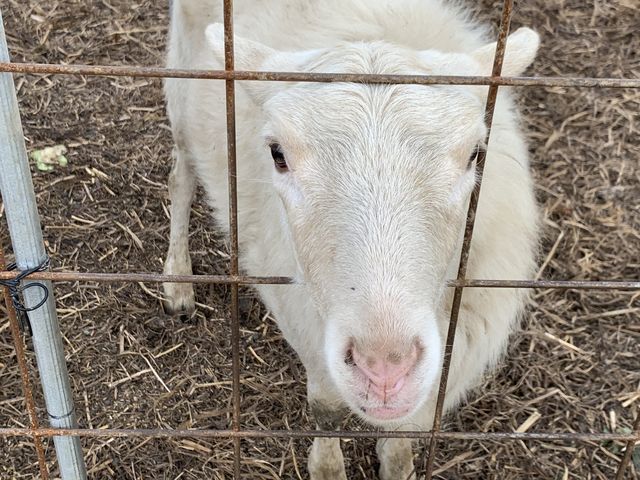 �r���������ł��I_�X�g���x���[�����h�}��