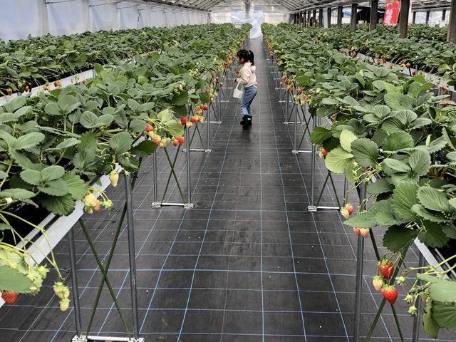 �L�����Y��ȃn�E�X�B�n�ʂ͗{������Ă��ĕ����₷�������ł��B_�Ƃ悳��t�@�[����������