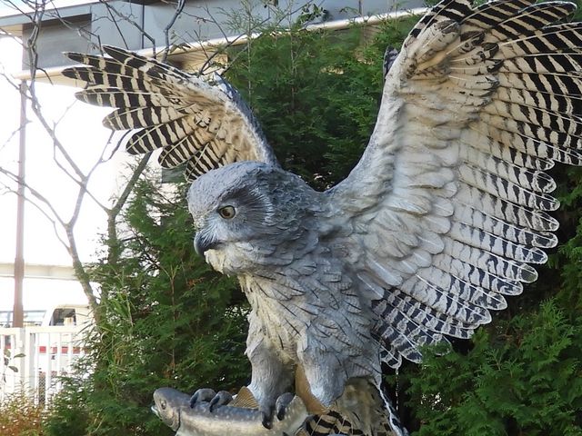 łڌ_Hsόēi񂿂傤H`j