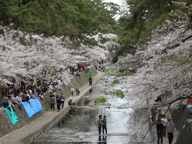 �g��͐�~�Βn�i�g������j_�g��͐�~�Βn�i�g������j