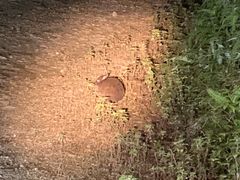 happỹ~bhiCgcA[ւ̓eʐ^1