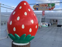 ނ񂳂̐_ˎOcȂ_ւ̓eʐ^1