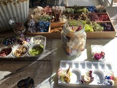 candle shop kinari̎ʐ^2