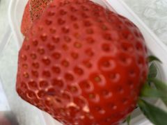 �܂�܂�ԁ[����̂��ڂ��������ւ̓��e�ʐ^1