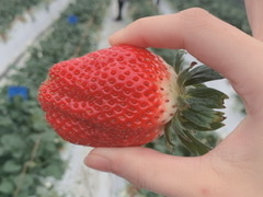 肳̓V̂ʐ^ ܂邩ւ̓eʐ^1