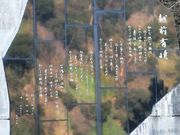 ���ڂ炳��̉z�O�L��̔�̓��e�ʐ^1