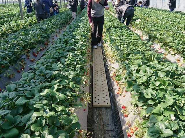 ��������_�ÎR�_��