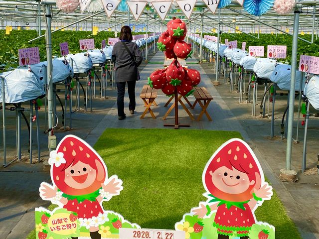 ��t���ς܂��ăn�E�X�ɓ���Ɓu�f���v�O�b�Y�����o�}��_ICHIGO ZANMAI