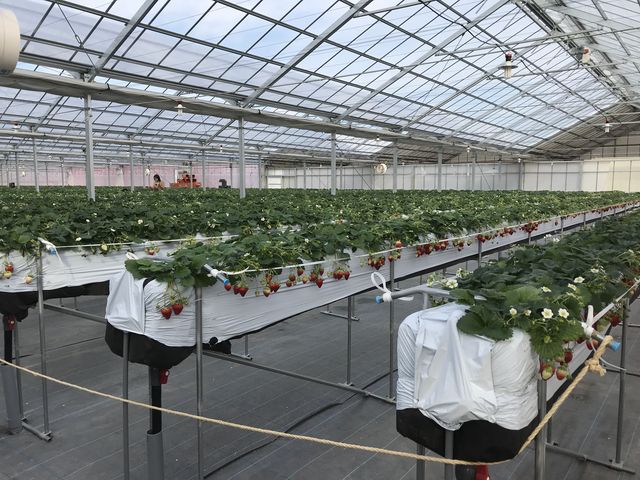 �����̗l�q_���E�t���[�Y