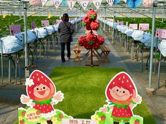 ƂICHIGO ZANMAIւ̓eʐ^2