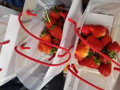 ayumama̓V̂ʐ^ ܂邩ւ̓eʐ^1