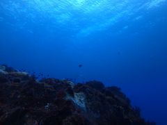 ݂₳̈ɓ_CrOXN[ gbcւ̓eʐ^1